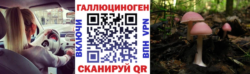 Псилоцибиновые грибы GOLDEN TEACHER Моздок