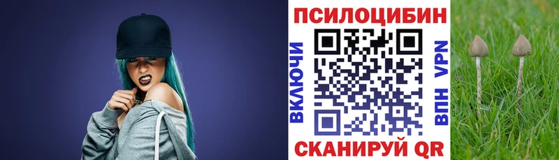Псилоцибиновые грибы мухоморы Моздок