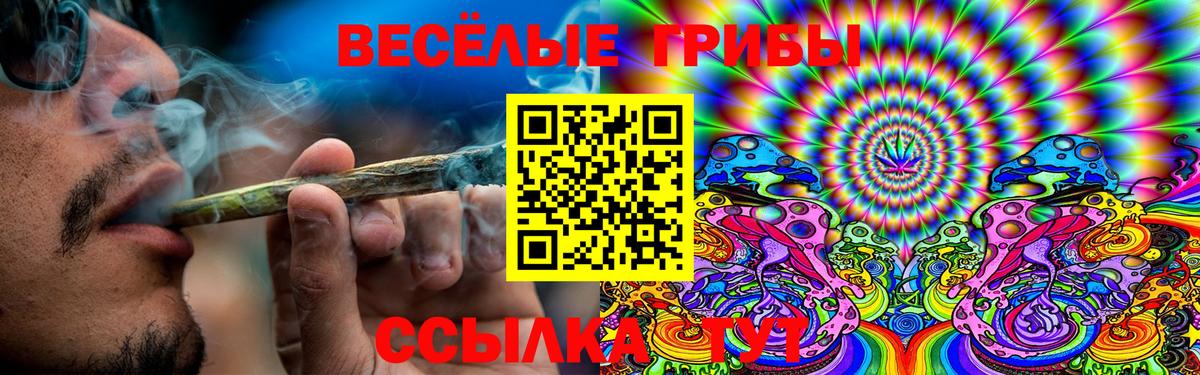 Моздок  Галлюциногенные грибы Cubensis  Вход с VPN  Галлюциногенные грибы мицелий 