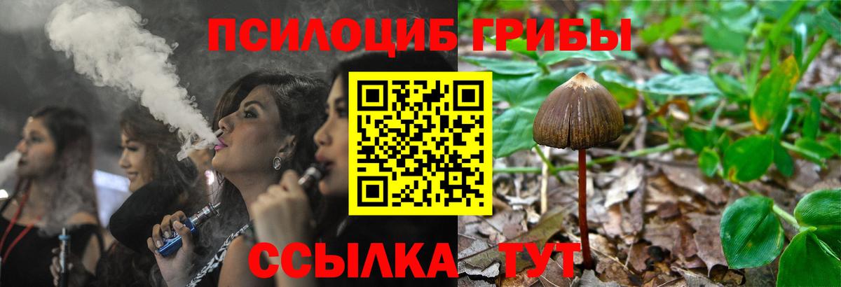 Галлюциногенные грибы Cubensis Моздок